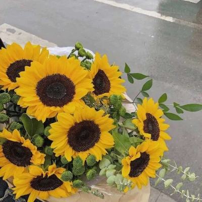 ROR体育官网登录入口