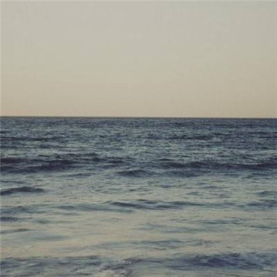 bet官网365app下载1069